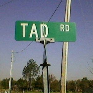 Meet your Posher, Gwendolyn